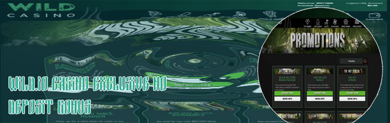 Go wild casino no deposit bonus codes